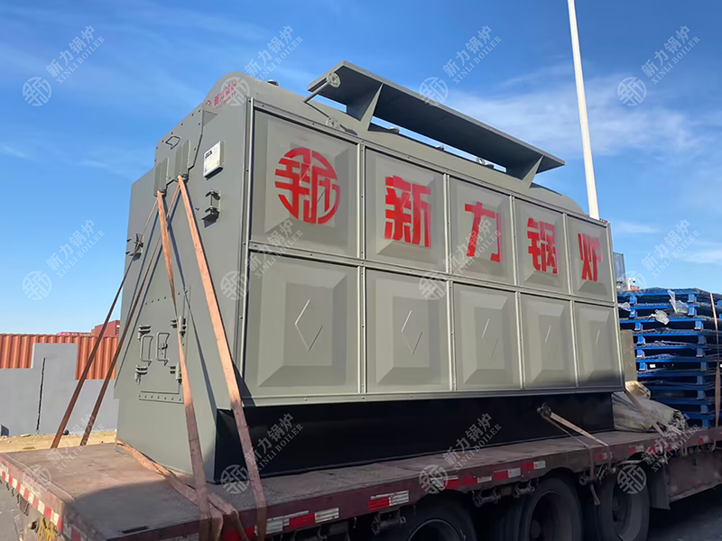 1740390776123114 DZH生物质热水锅炉